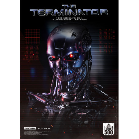 Blitzway - Cranio endoscheletrico T800 1/1 a grandezza naturale - Il Terminator