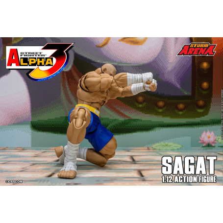 Storm Collectibles - SAGAT - Street Fighter Alpha Storm Arena 1/12