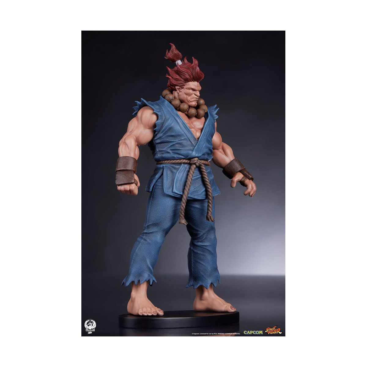 PCS - Set di statue di Street Fighter: Street Jam - Akuma e Dhalsim in scala 1:10