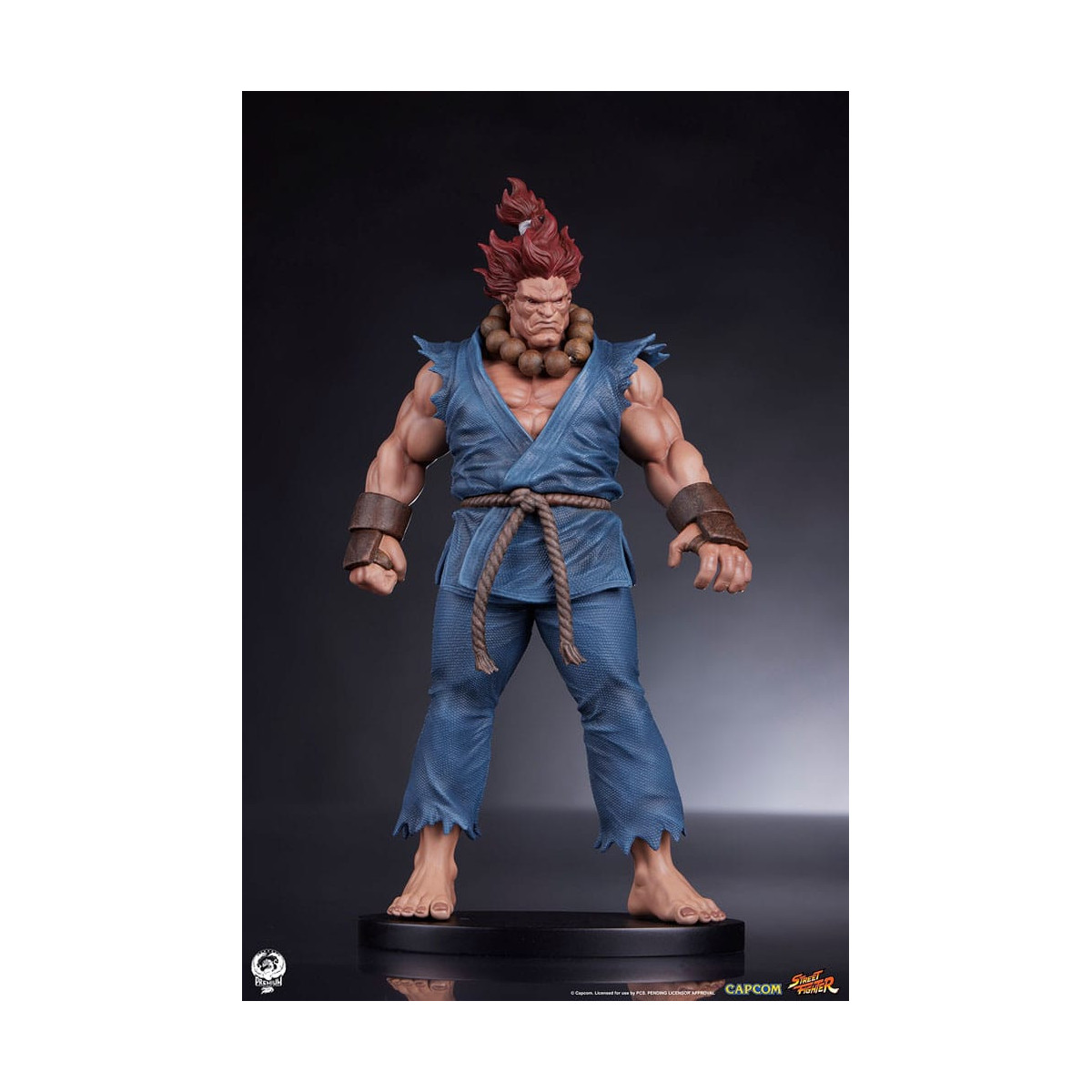 PCS - Set di statue di Street Fighter: Street Jam - Akuma e Dhalsim in scala 1:10