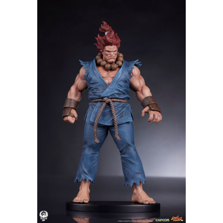 PCS - Set di statue di Street Fighter: Street Jam - Akuma e Dhalsim in scala 1:10
