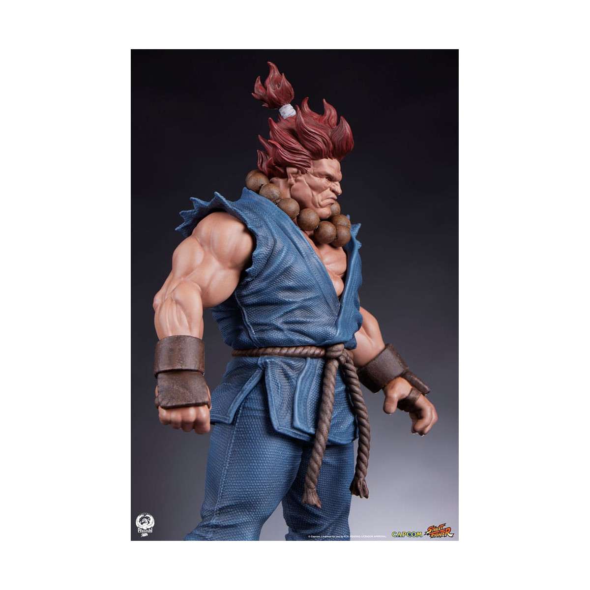 PCS - Set di statue di Street Fighter: Street Jam - Akuma e Dhalsim in scala 1:10