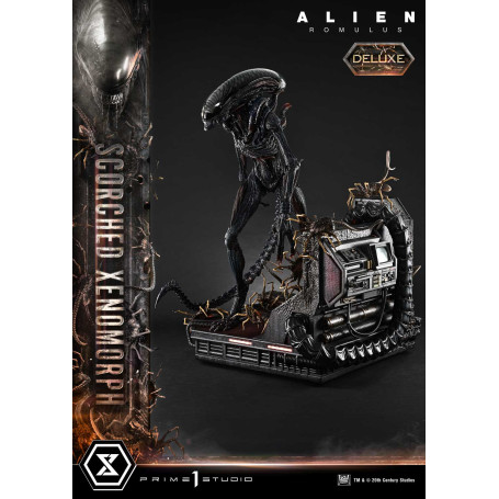 Prime 1 Studio - Scorched Xenomorph DX Bonus Version 1/3 - Alien: Museo Romulus Masterline XL