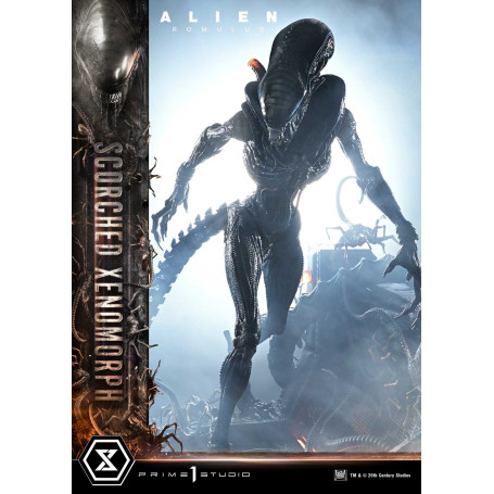 Prime 1 Studio - Scorched Xenomorph DX Bonus Version 1/3 - Alien: Museo Romulus Masterline XL