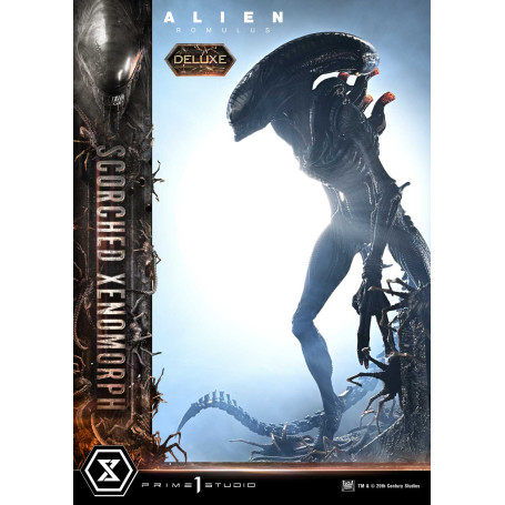 Prime 1 Studio - Scorched Xenomorph DX Bonus Version 1/3 - Alien: Museo Romulus Masterline XL