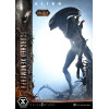 Prime 1 Studio - Scorched Xenomorph DX Bonus Version 1/3 - Alien: Museo Romulus Masterline XL