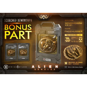 Prime 1 Studio - Scorched Xenomorph DX Bonus Version 1/3 - Alien: Museo Romulus Masterline XL