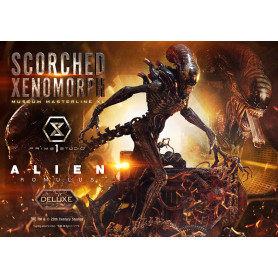Prime 1 Studio - Scorched Xenomorph DX Bonus Version 1/3 - Alien: Museo Romulus Masterline XL