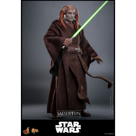 Hot Toys Star Wars - Saesee Tiin MMS1/6 - La vendetta dei Sith