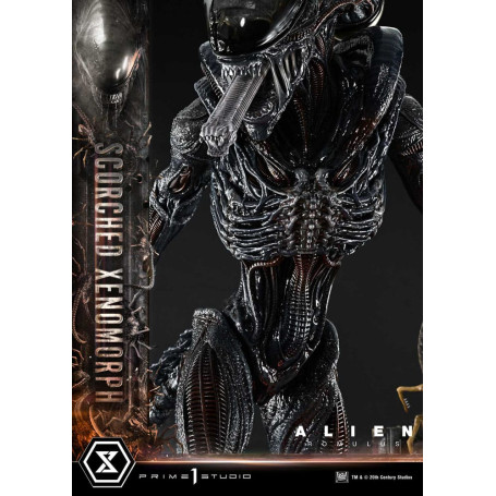 Prime 1 Studio - Xenomorfo bruciato versione Deluxe 1/3 - Alien: Museo Romulus Masterline XL