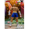 Storm Collectibles - SAGAT - Street Fighter Alpha Storm Arena 1/12