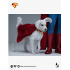 INART - Figura da collezione di Superman in scala 1/6 - Superman (2025)