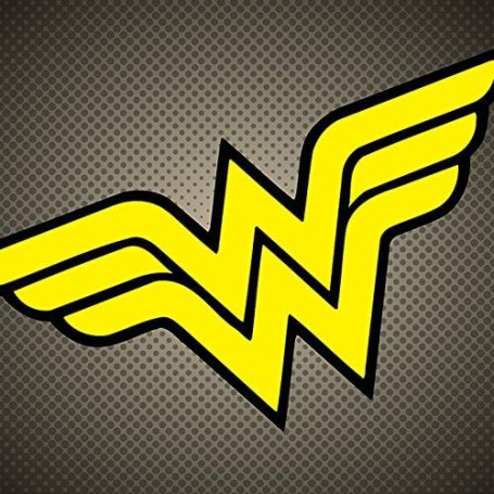 Toile Wonder Woman logo 40 x 30 cm