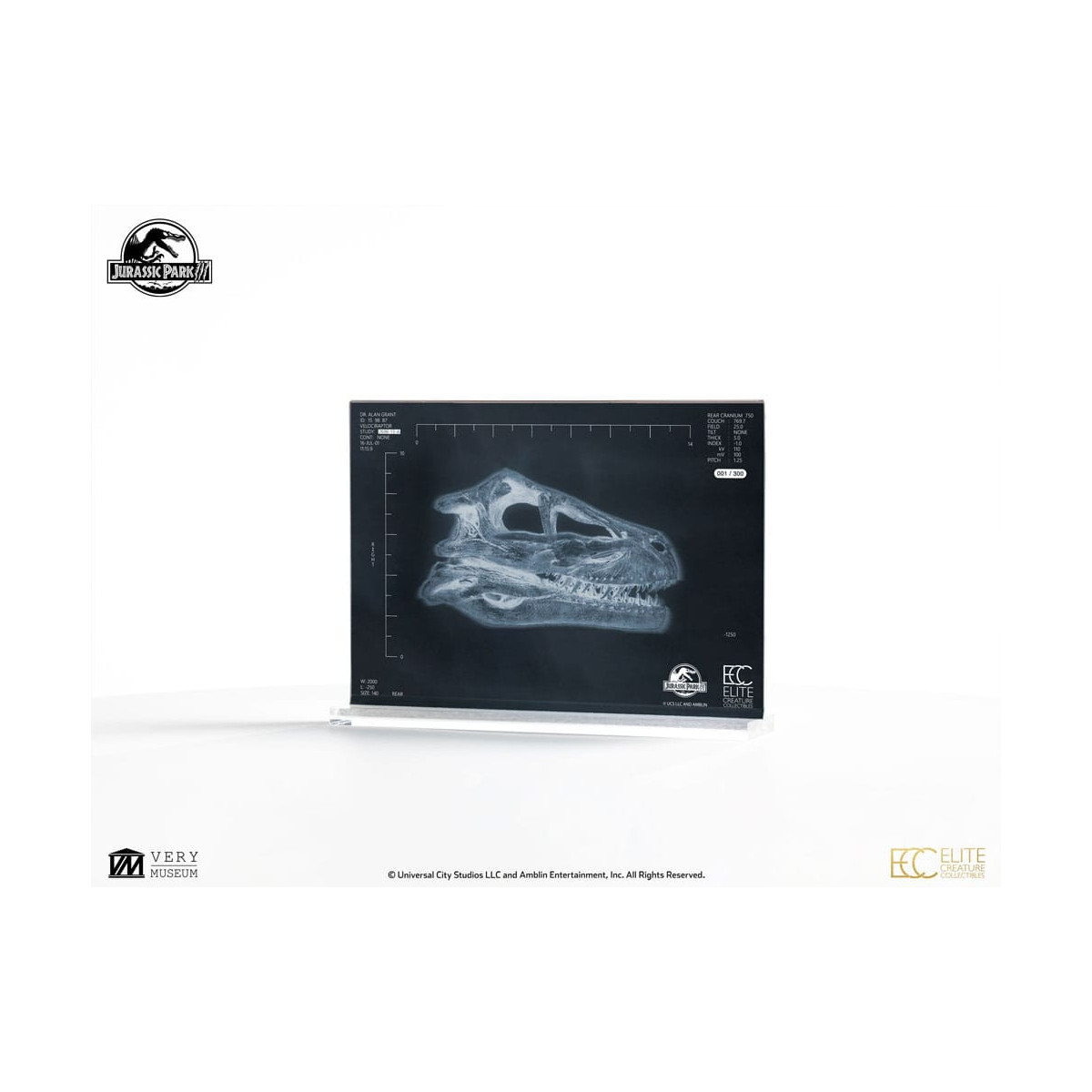 ECC Creature da collezione d'élite - Jurassic Park 3 Velociraptor Camera di Risonanza 1/1