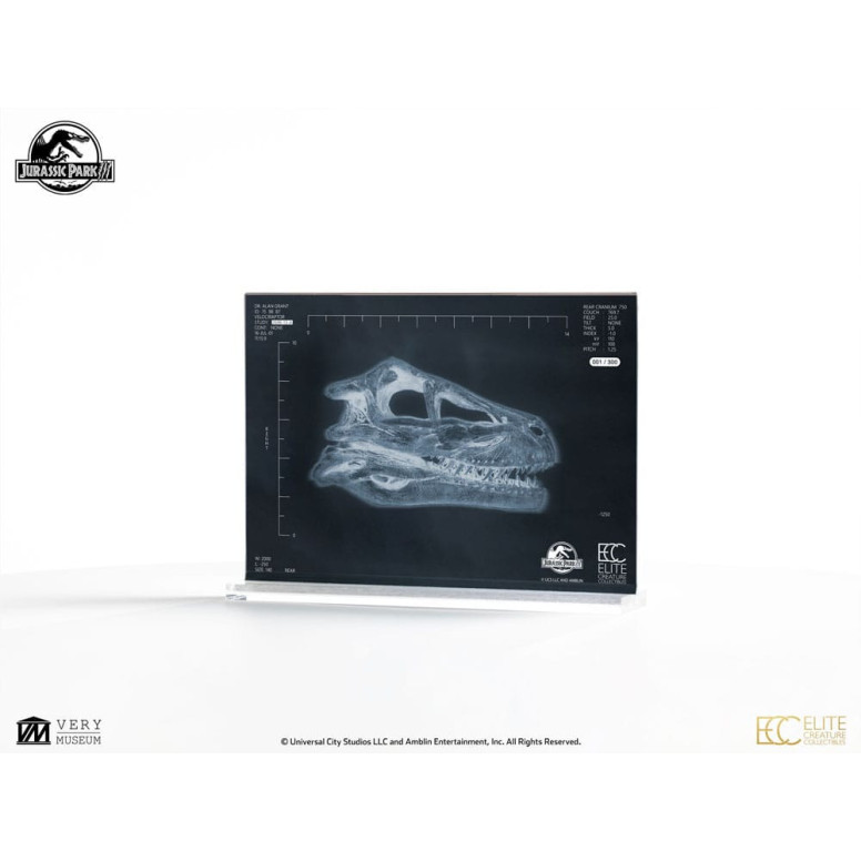 ECC Creature da collezione d'élite - Jurassic Park 3 Velociraptor Camera di Risonanza 1/1