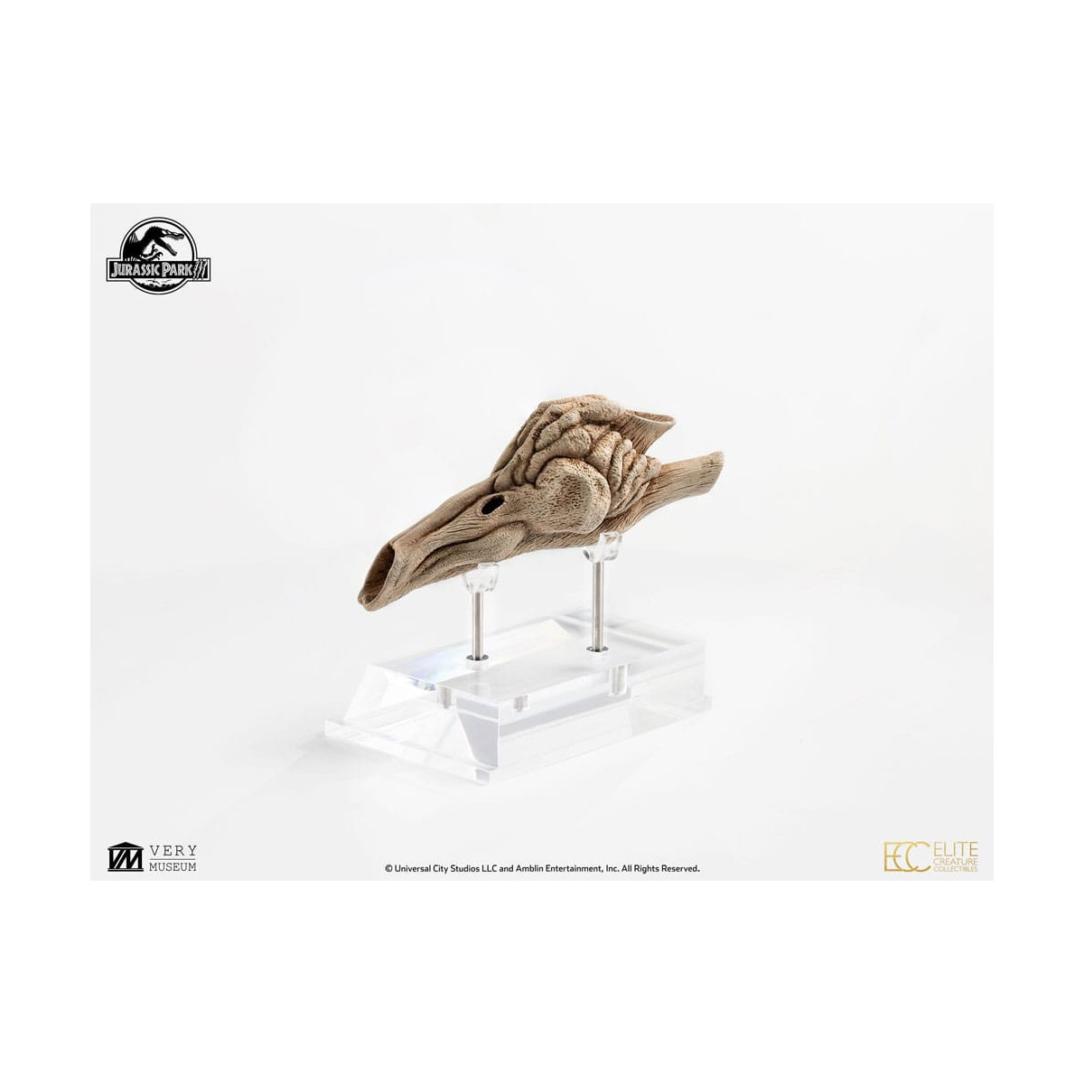 ECC Creature da collezione d'élite - Jurassic Park 3 Velociraptor Camera di Risonanza 1/1