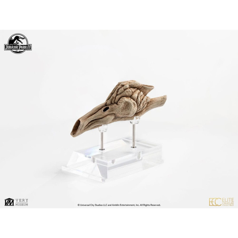 ECC Creature da collezione d'élite - Jurassic Park 3 Velociraptor Camera di Risonanza 1/1