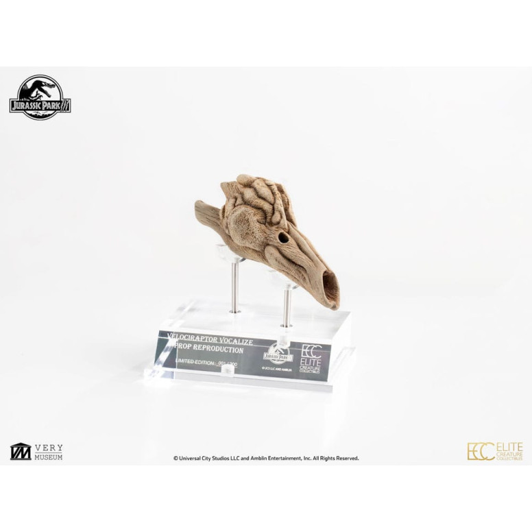 ECC Creature da collezione d'élite - Jurassic Park 3 Velociraptor Camera di Risonanza 1/1