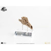 ECC Creature da collezione d'élite - Jurassic Park 3 Velociraptor Camera di Risonanza 1/1