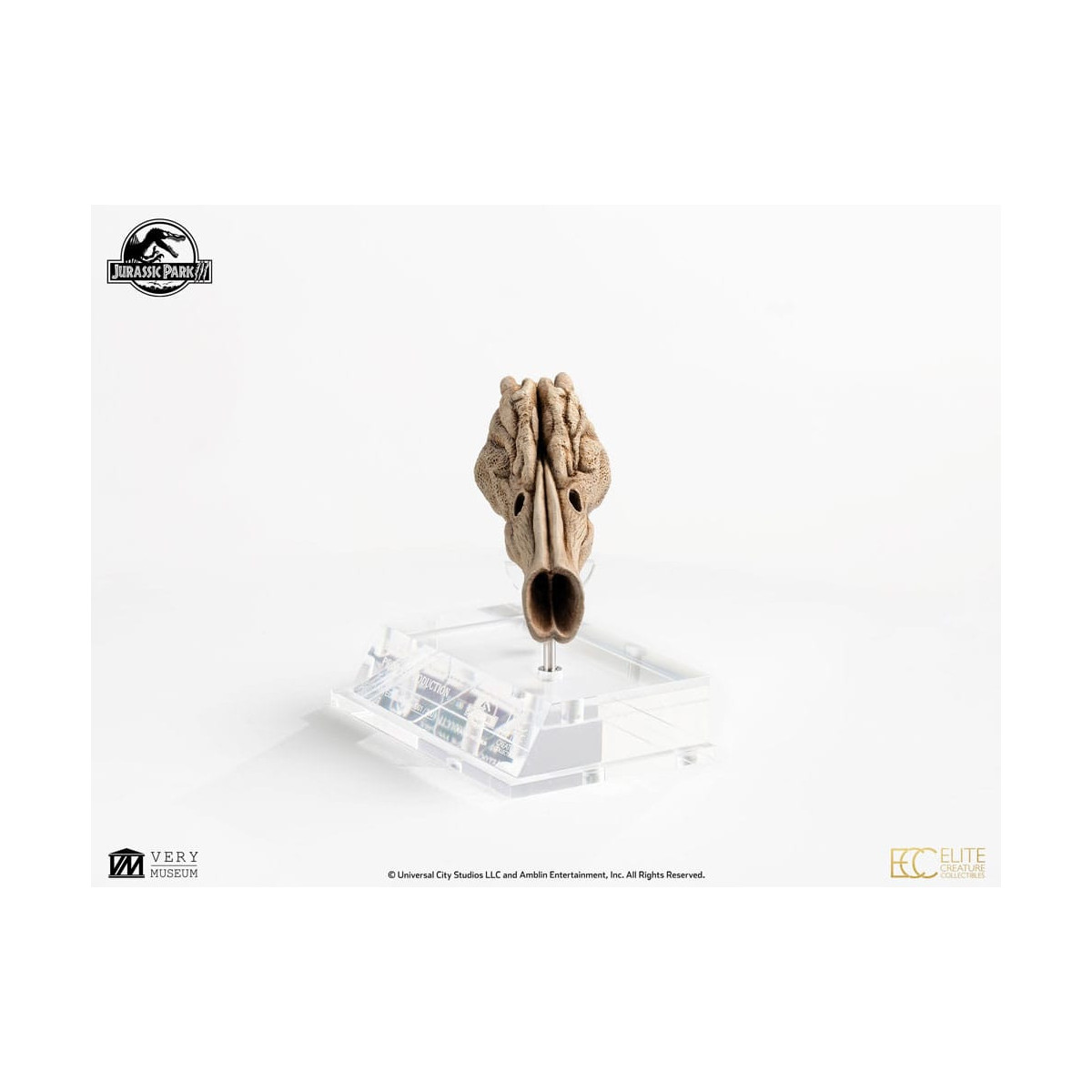 ECC Creature da collezione d'élite - Jurassic Park 3 Velociraptor Camera di Risonanza 1/1