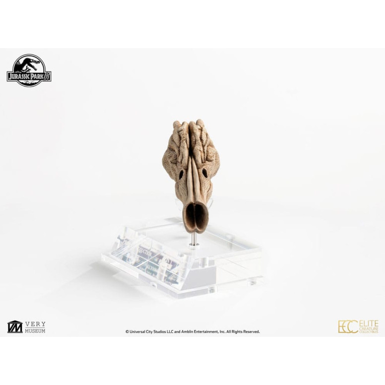 ECC Creature da collezione d'élite - Jurassic Park 3 Velociraptor Camera di Risonanza 1/1