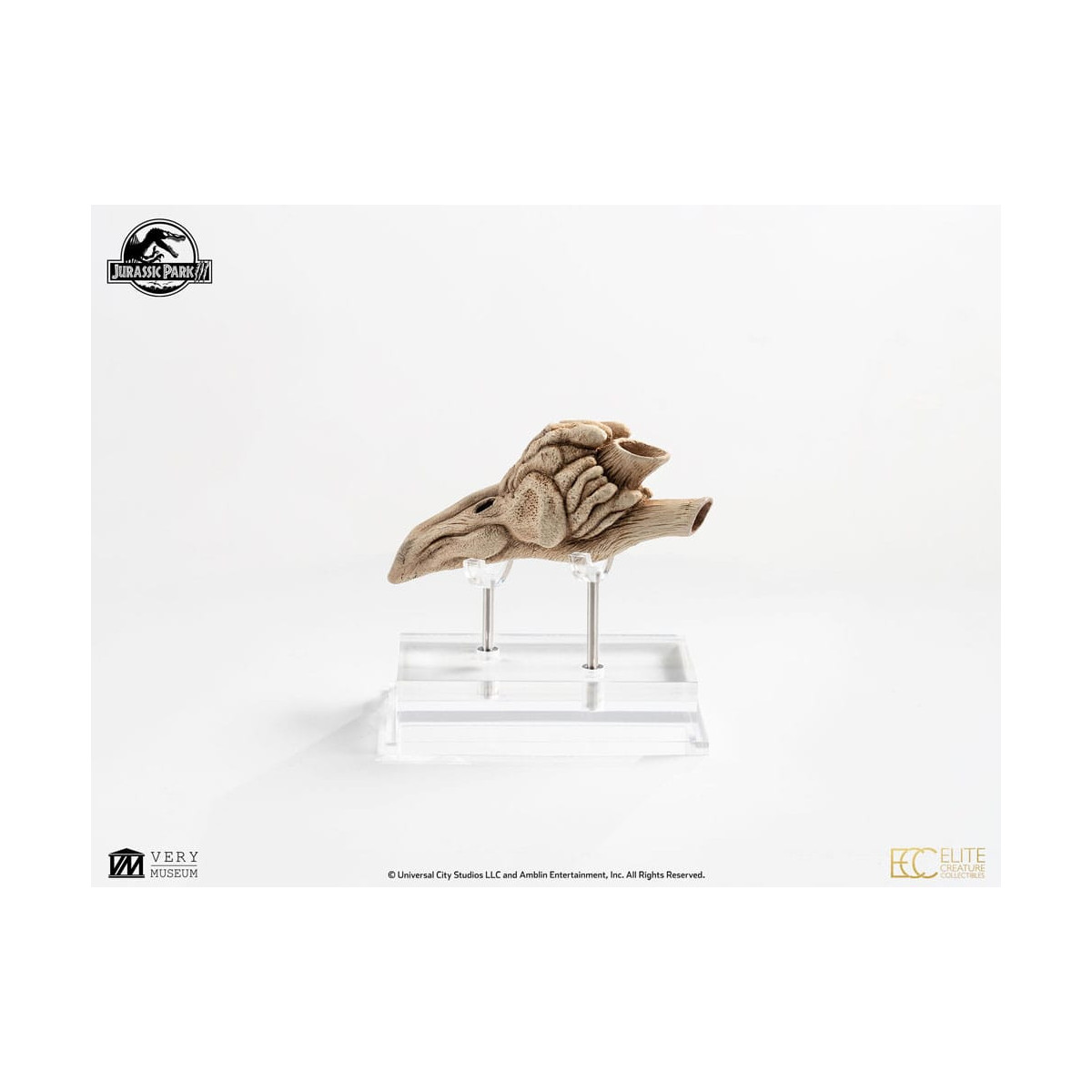 ECC Creature da collezione d'élite - Jurassic Park 3 Velociraptor Camera di Risonanza 1/1