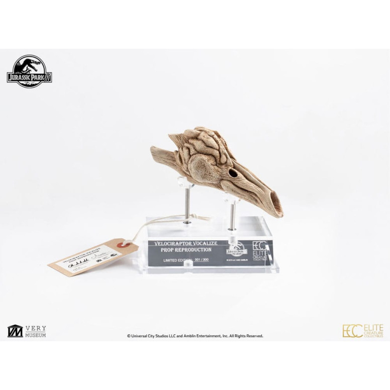 ECC Creature da collezione d'élite - Jurassic Park 3 Velociraptor Camera di Risonanza 1/1