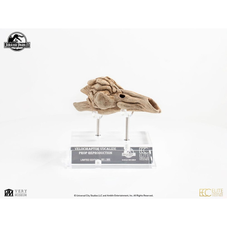 ECC Creature da collezione d'élite - Jurassic Park 3 Velociraptor Camera di Risonanza 1/1