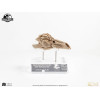 ECC Creature da collezione d'élite - Jurassic Park 3 Velociraptor Camera di Risonanza 1/1