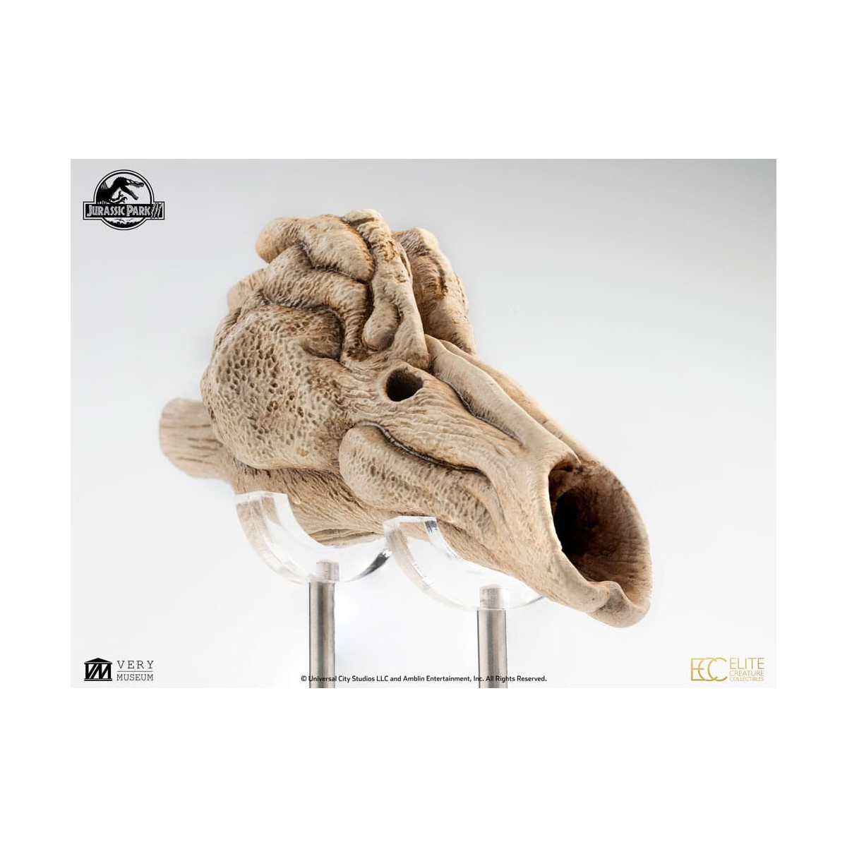 ECC Creature da collezione d'élite - Jurassic Park 3 Velociraptor Camera di Risonanza 1/1