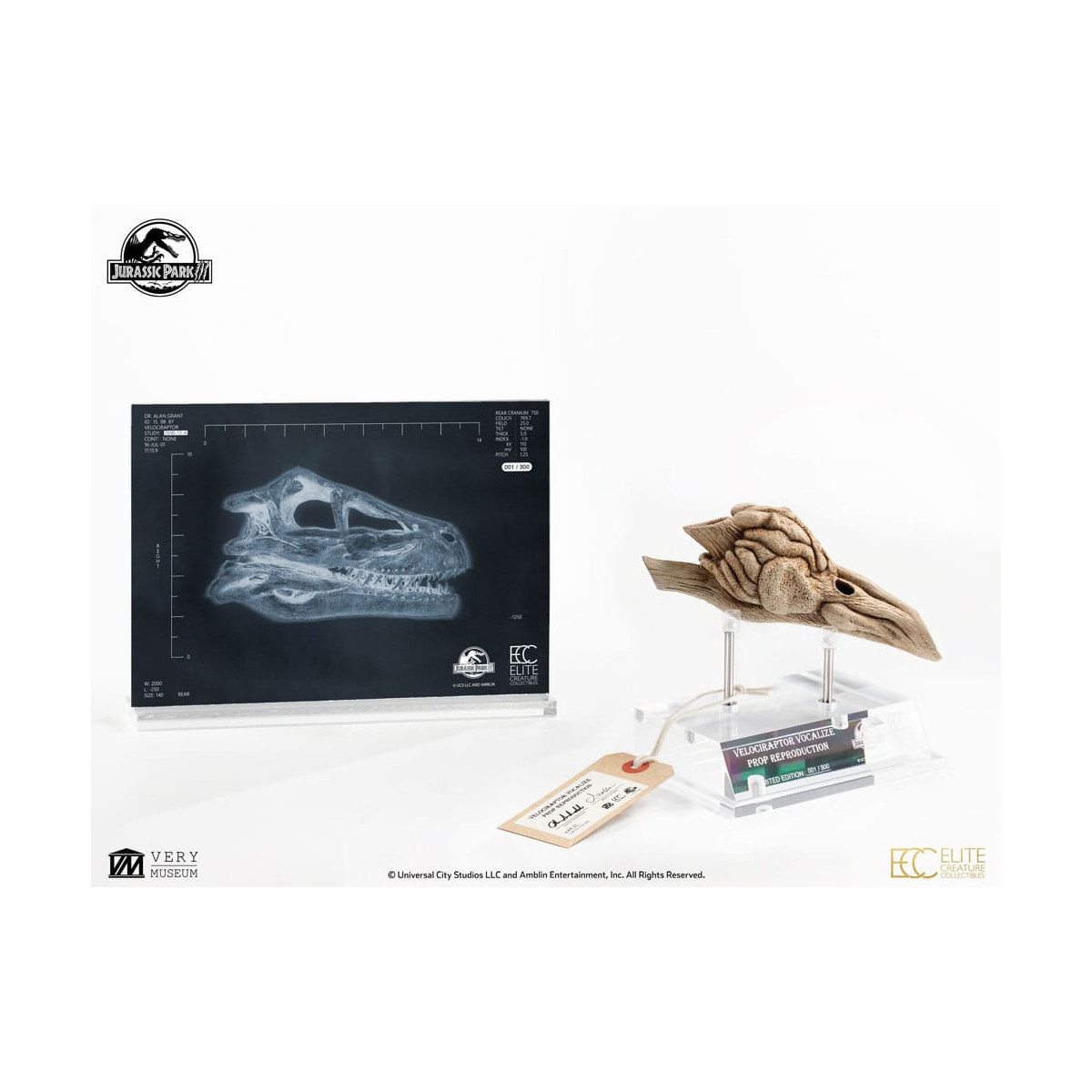 ECC Creature da collezione d'élite - Jurassic Park 3 Velociraptor Camera di Risonanza 1/1