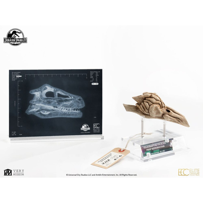 ECC Creature da collezione d'élite - Jurassic Park 3 Velociraptor Camera di Risonanza 1/1