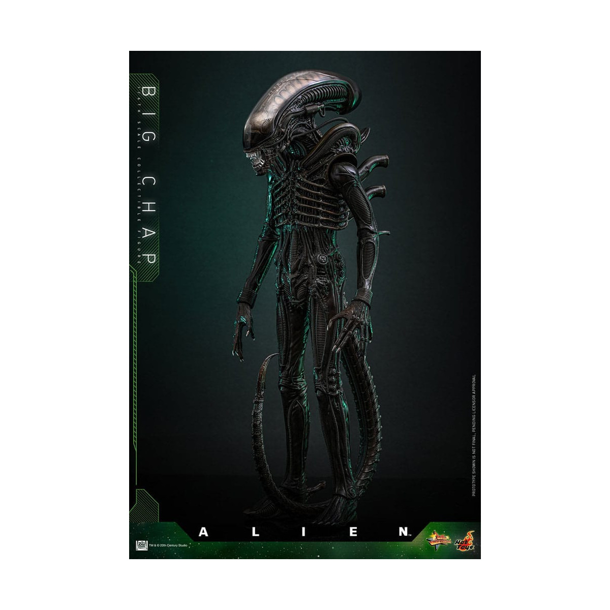 Hot Toys - Alien - Big Chap v2 MMS 1/6
