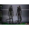 Hot Toys - Alien - Big Chap v2 MMS 1/6