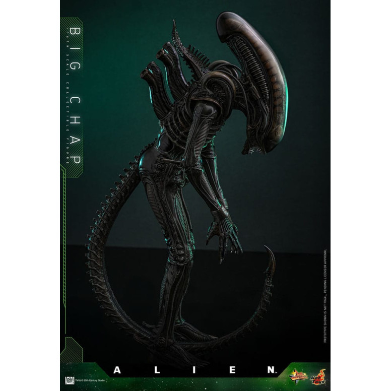 Hot Toys - Alien - Big Chap v2 MMS 1/6