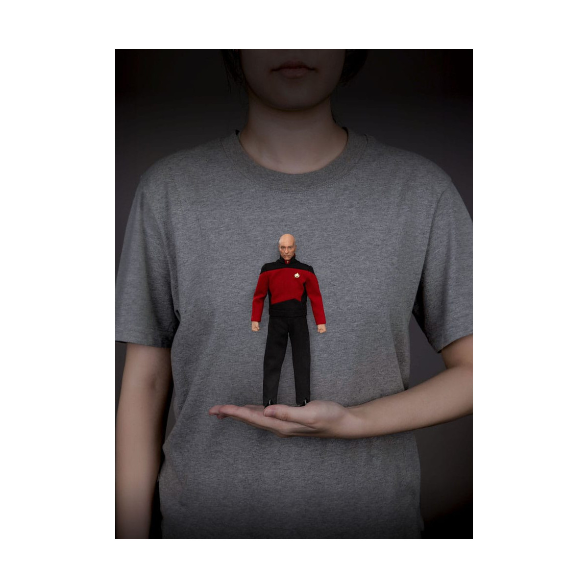 Beast Kingdom - Star Trek : Générations - Jean-Luc Picard Dynamic Action Heroes 1/9