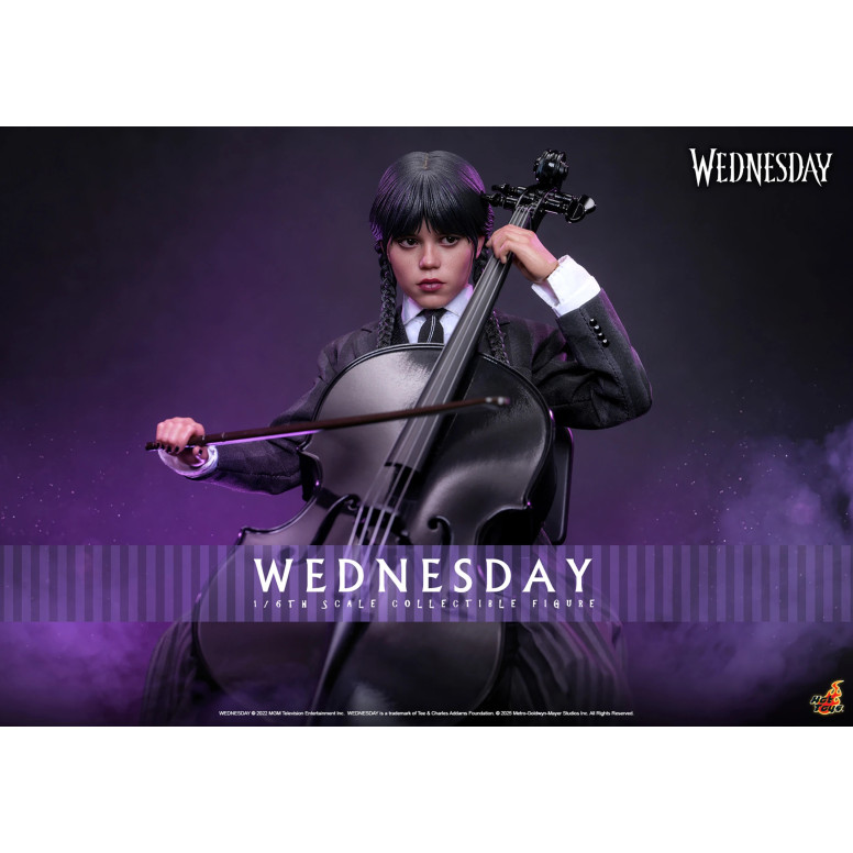 Hot Toys - Figura TV di Mercoledì 1/6 TMS135