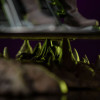 Iron Studios - ZODAC Art Scale 1/10 - Masters of the Universe - Masters of the Universe