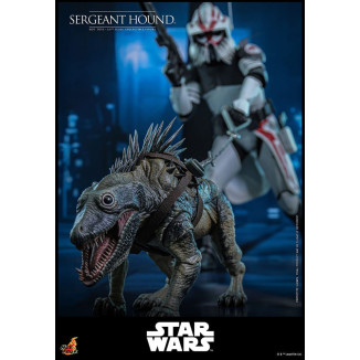 Hot Toys Star Wars - Sergente Hound - The Clone Wars 1/6
