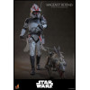 Hot Toys Star Wars - Sergente Hound - The Clone Wars 1/6