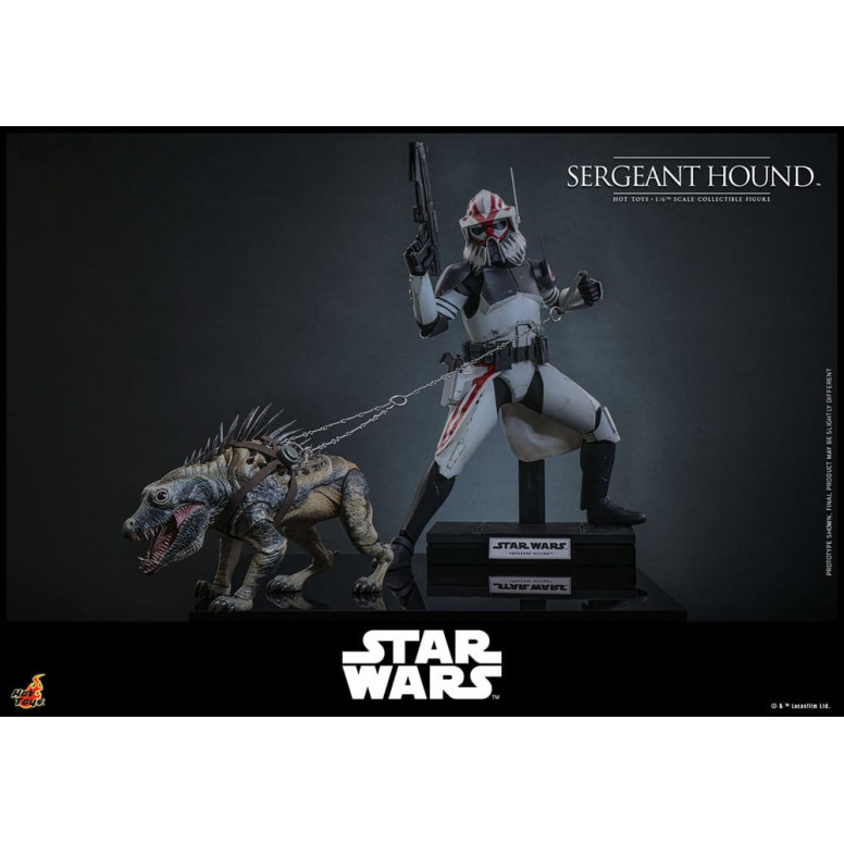 Hot Toys Star Wars - Sergente Hound - The Clone Wars 1/6