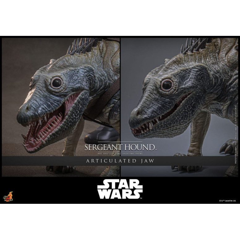 Hot Toys Star Wars - Sergente Hound - The Clone Wars 1/6