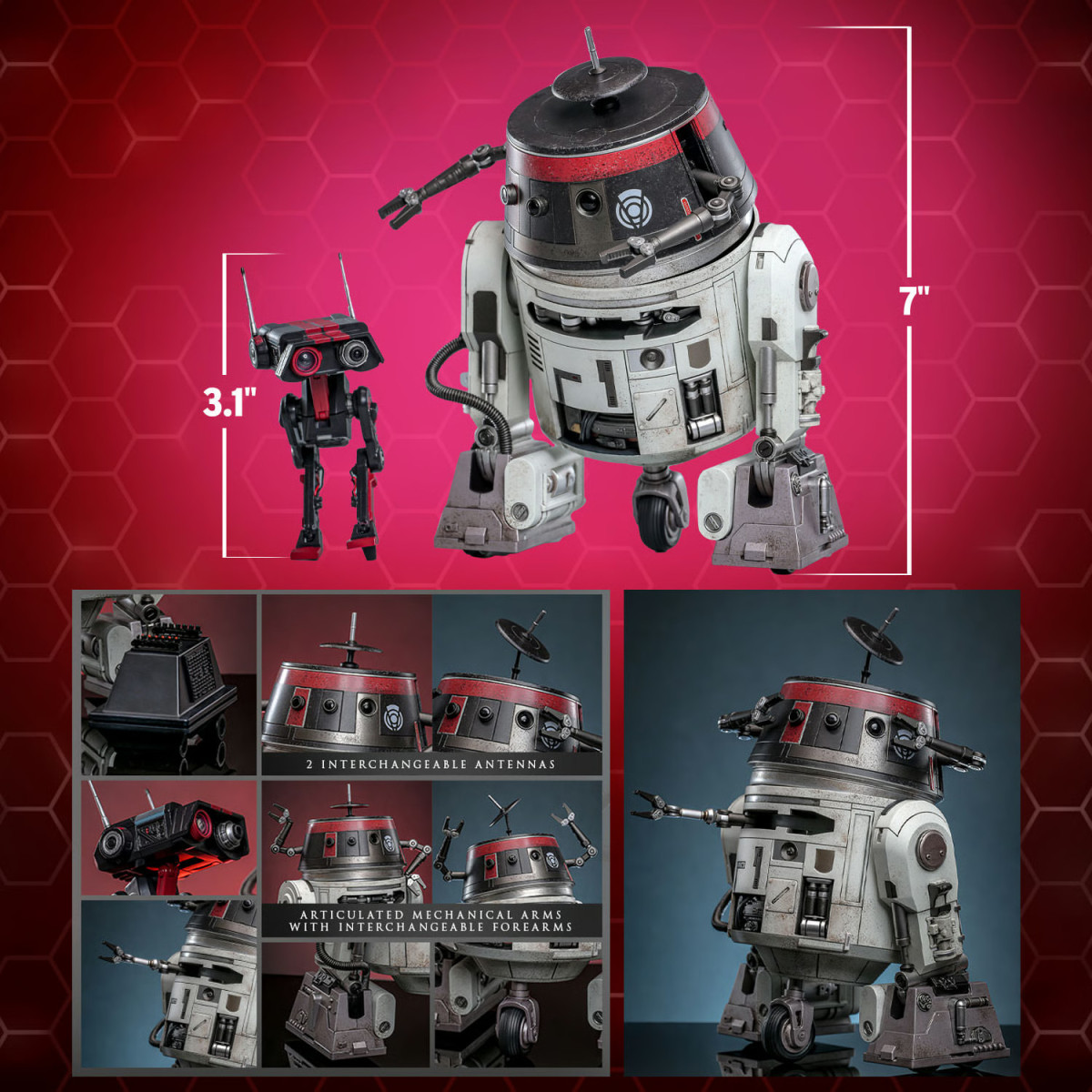 Hot Toys Star Wars - Chopper (C1-10P) e BD-1 (travestimento imperiale) - Esclusiva Hot Toys Ribelli