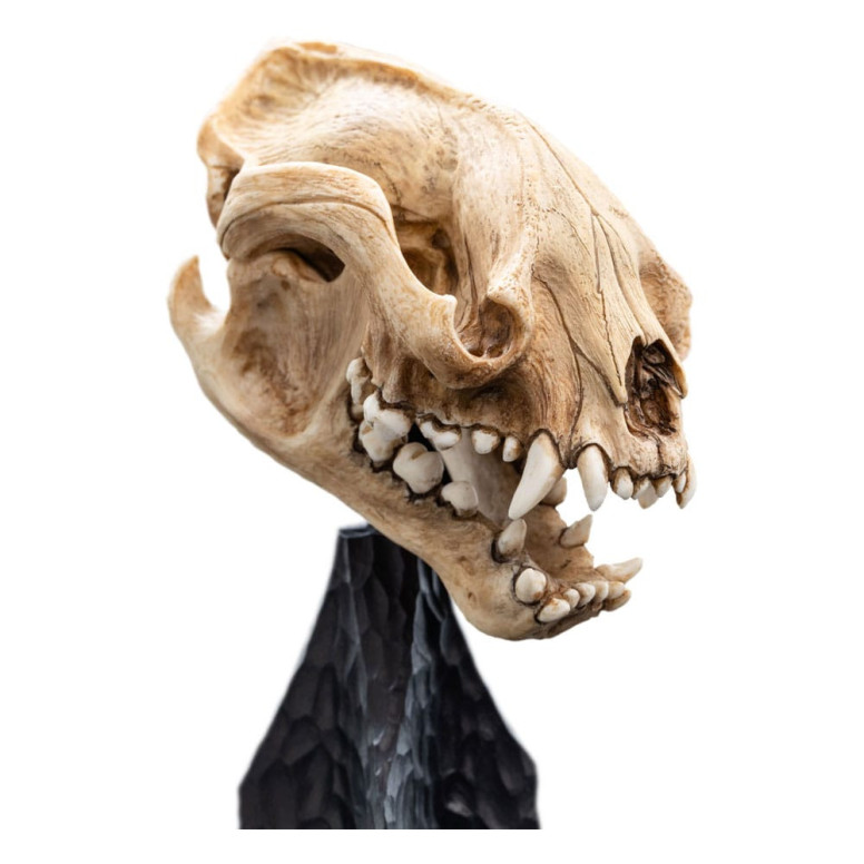 Weta - Il Signore degli Anelli - Teschio di Warg - LOTR