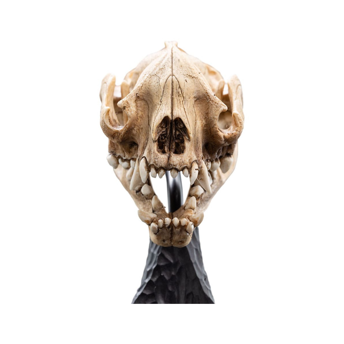 Weta - Il Signore degli Anelli - Teschio di Warg - LOTR