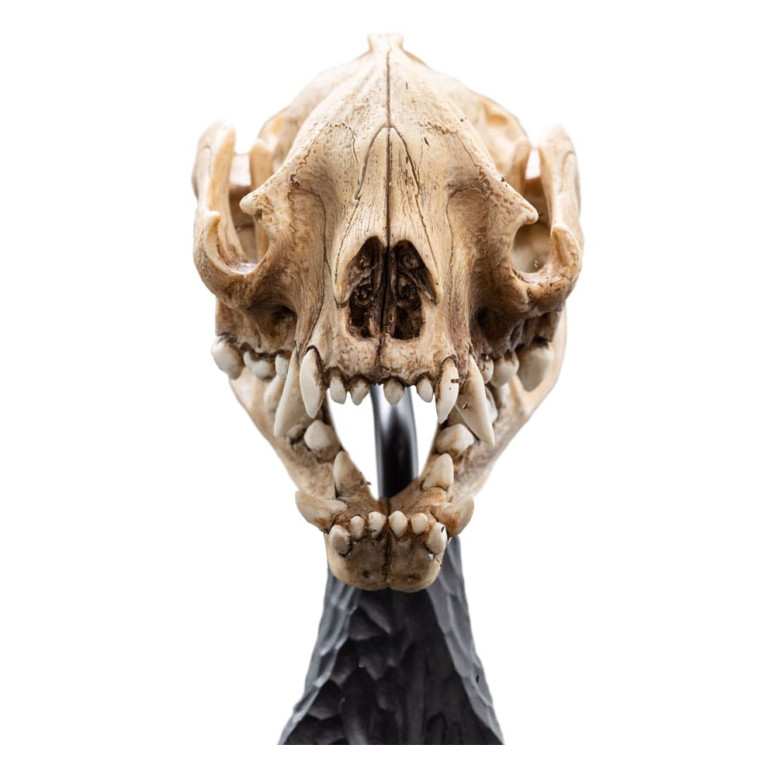 Weta - Il Signore degli Anelli - Teschio di Warg - LOTR