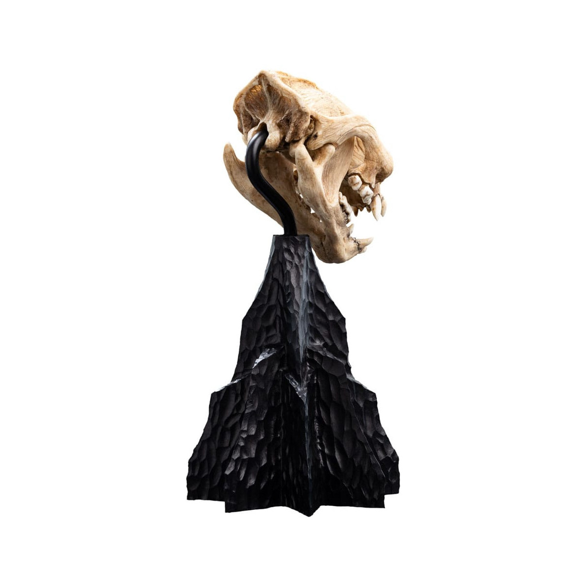 Weta - Il Signore degli Anelli - Teschio di Warg - LOTR