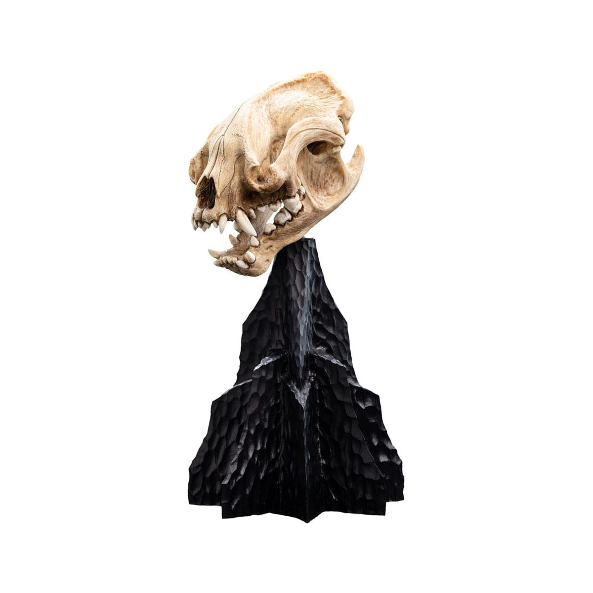 Weta - Il Signore degli Anelli - Teschio di Warg - LOTR