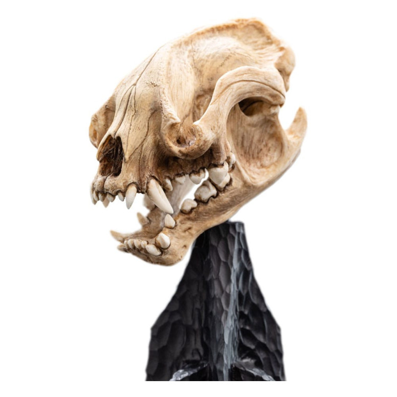 Weta - Il Signore degli Anelli - Teschio di Warg - LOTR