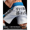 Cartoon Kingdom Serie IconiK - Ippo Makunouchi 1/6 Edizione limitata
